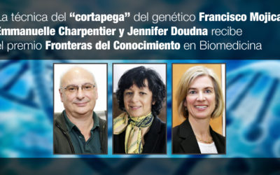 La técnica del “cortapega” del genético Francisco Mojica, Emmanuelle Charpentier y Jennifer Doudna recibe el premio Fronteras del Conocimiento en Biomedicina