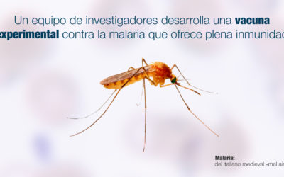 Un equipo de investigadores desarrolla una vacuna experimental contra la malaria que ofrece plena inmunidad
