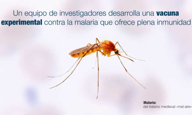 Un equipo de investigadores desarrolla una vacuna experimental contra la malaria que ofrece plena inmunidad