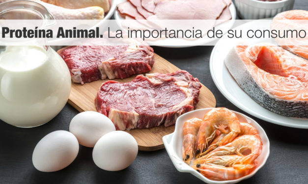 <strong>Proteína Animal.</strong> La importancia de su consumo