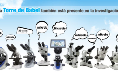 La Torre de Babel también está presente en la investigación