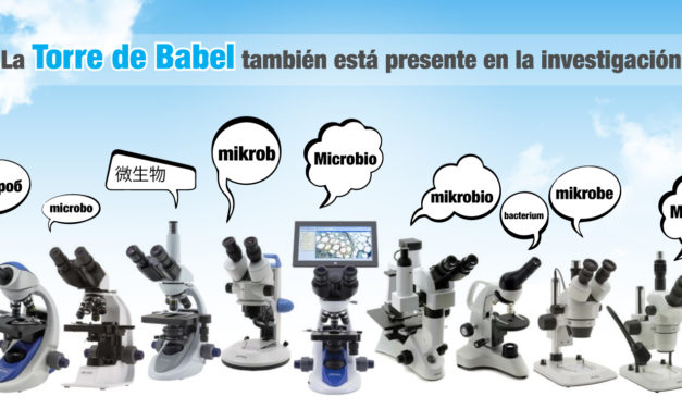 La Torre de Babel también está presente en la investigación