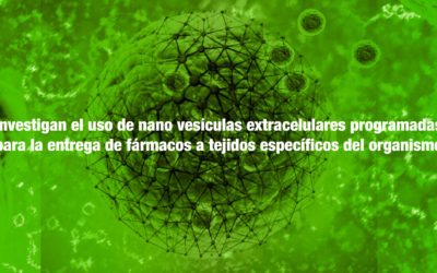 Investigan el uso de nano vesículas extracelulares programadas para la entrega de fármacos a tejidos específicos del organismo