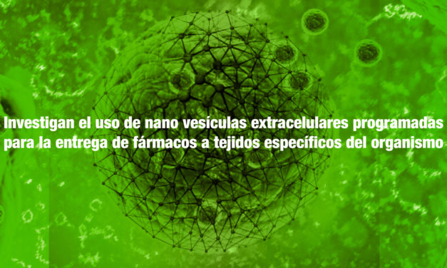 Investigan el uso de nano vesículas extracelulares programadas para la entrega de fármacos a tejidos específicos del organismo
