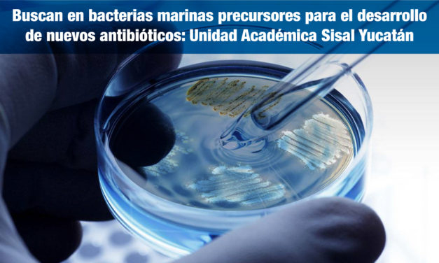 Buscan en bacterias marinas precursores para el desarrollo de nuevos antibióticos: <strong>Unidad Académica en Sisal, Yucatán</strong>