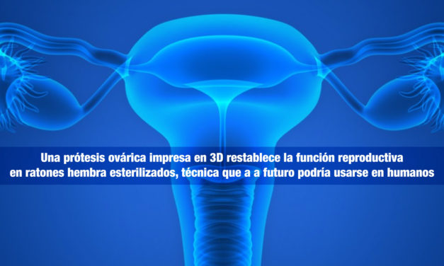 Una prótesis ovárica impresa en 3D restablece la función reproductiva en ratones hembra esterilizados, técnica que a a futuro podría usarse en humanos