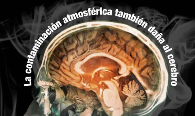 <p class="p1">La contaminación atmosférica también daña al cerebro</p><p class="p2"></p>