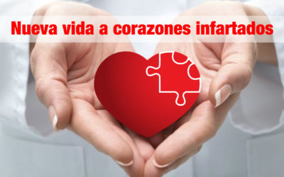 Nueva vida a corazones infartados