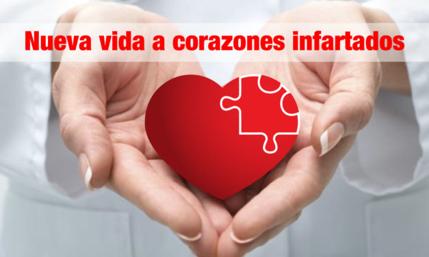 Nueva vida a corazones infartados
