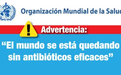 La OMS advierte: “El mundo se está quedando sin antibióticos eficaces”