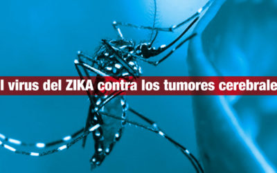 El virus del ZIKA contra los tumores cerebrales