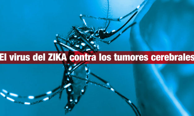 El virus del ZIKA contra los tumores cerebrales