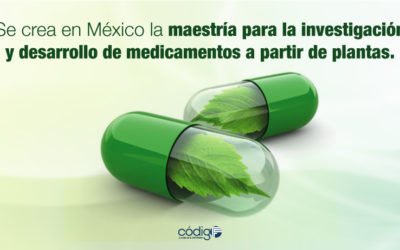 Se crea en México la maestría para la investigación y desarrollo de medicamentos a partir de plantas.