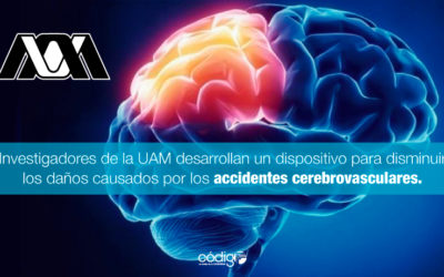 Investigadores de la UAM desarrollan un dispositivo para disminuir los daños causados por los accidentes cerebrovasculares