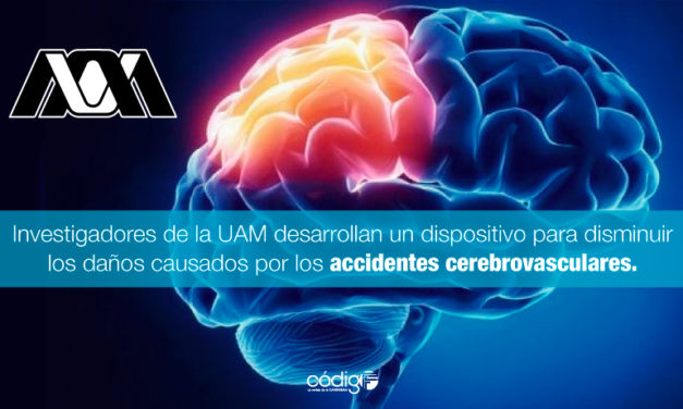Investigadores de la UAM desarrollan un dispositivo para disminuir los daños causados por los accidentes cerebrovasculares