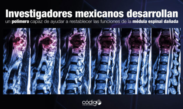 Investigadores mexicanos desarrollan un polímero capaz de ayudar a restablecer las funciones de la médula espinal dañada