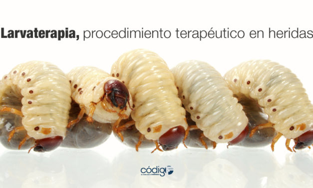 Larvaterapia, procedimiento terapéutico en heridas.