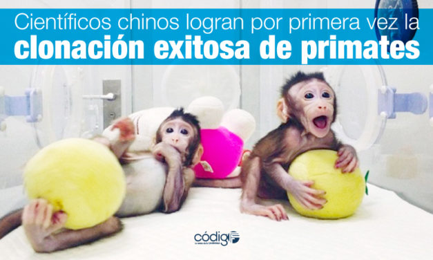 Científicos chinos logran por primera vez la clonación exitosa de primates