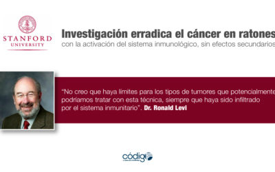 Investigación erradica el cáncer en ratones con la activación del sistema inmunológico, sin efectos secundarios