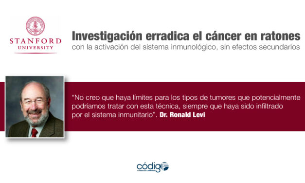 Investigación erradica el cáncer en ratones con la activación del sistema inmunológico, sin efectos secundarios