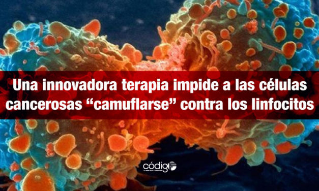 Una innovadora terapia impide a las células cancerosas “camuflarse” contra los linfocitos