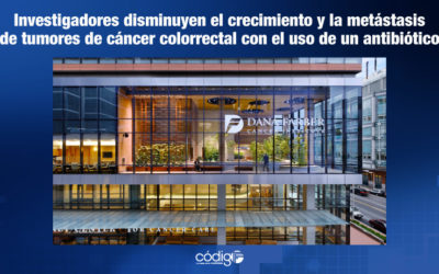 Investigadores disminuyen el crecimiento y la metástasis de tumores de cáncer colorrectal con el uso de un antibiótico