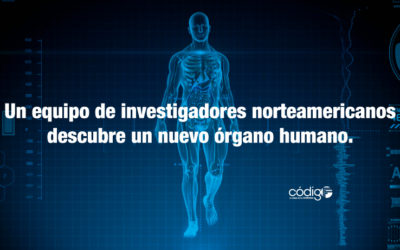 Un equipo de investigadores norteamericanos descubre un nuevo órgano humano.
