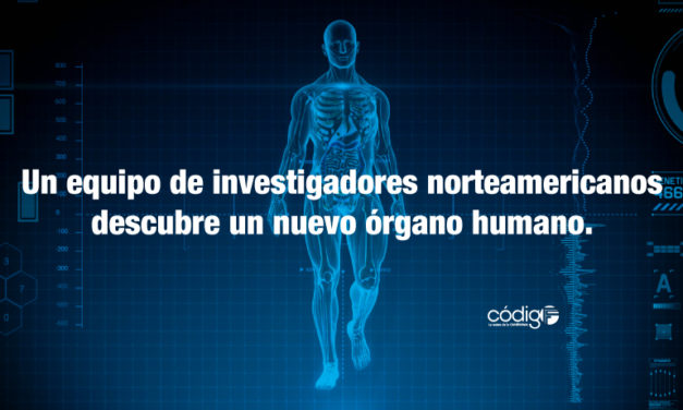 Un equipo de investigadores norteamericanos descubre un nuevo órgano humano.