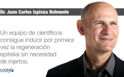 Un equipo de científicos consigue inducir por primera vez la regeneración epitelial sin necesidad de injertos