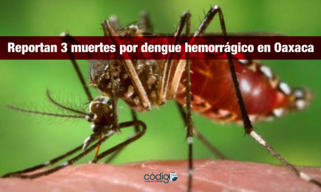 Reportan 3 muertes por dengue hemorrágico en Oaxaca