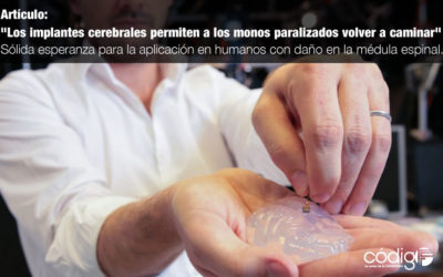 El artículo «Los implantes cerebrales permiten a los monos paralizados volver a caminar» genera una sólida esperanza de que estos hallazgos sean trasladados a seres humanos con daño en la médula espinal.