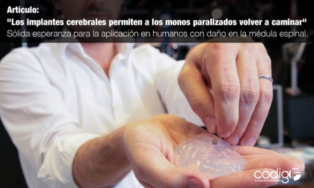 El artículo «Los implantes cerebrales permiten a los monos paralizados volver a caminar» genera una sólida esperanza de que estos hallazgos sean trasladados a seres humanos con daño en la médula espinal.