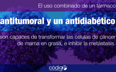 Ganar grasa – perder metástasis: convertir células invasoras de cáncer de mama en adipocitos inhibe la metástasis del cáncer