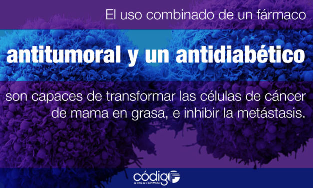 Ganar grasa – perder metástasis: convertir células invasoras de cáncer de mama en adipocitos inhibe la metástasis del cáncer