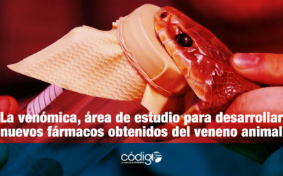 La venómica, área de estudio para desarrollar nuevos fármacos obtenidos del veneno animal.