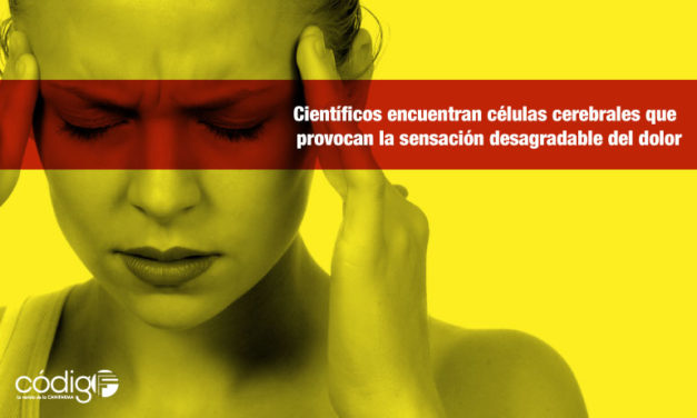 Científicos encuentran células cerebrales que provocan la sensación desagradable del dolor