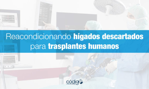 Reacondicionando hígados descartados para trasplantes humanos.