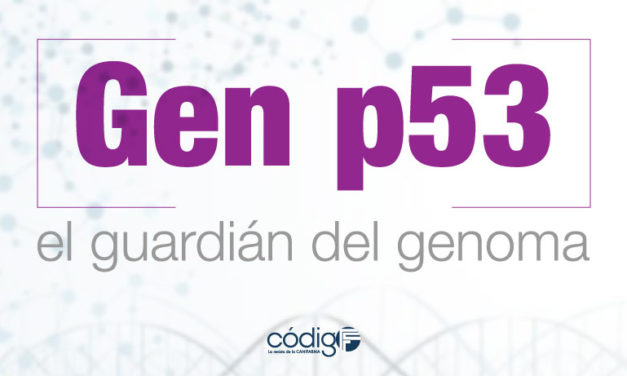 Gen p53 el guardián del genoma.