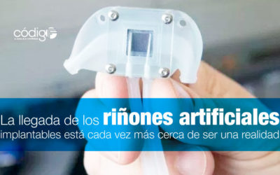 La llegada de los riñones artificiales implantables está cada vez más cerca de ser una realidad.