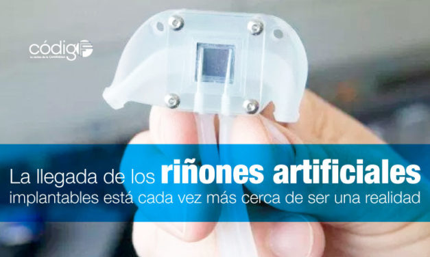 La llegada de los riñones artificiales implantables está cada vez más cerca de ser una realidad.
