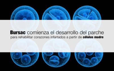 Bursac comienza el desarrollo del  parche para rehabilitar corazones infartados a partir de células madre.