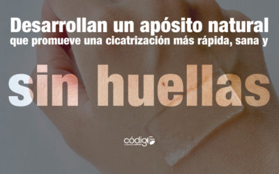 Desarrollan un apósito natural que promueve una cicatrización más rápida, sana y sin huellas