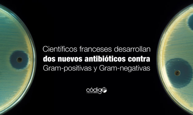 Científicos franceses desarrollan dos nuevos antibióticos.