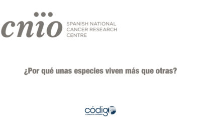 ¿Por qué unas especies viven más que otras? | El CNIO descubre la clave de la longevidad de las especies.
