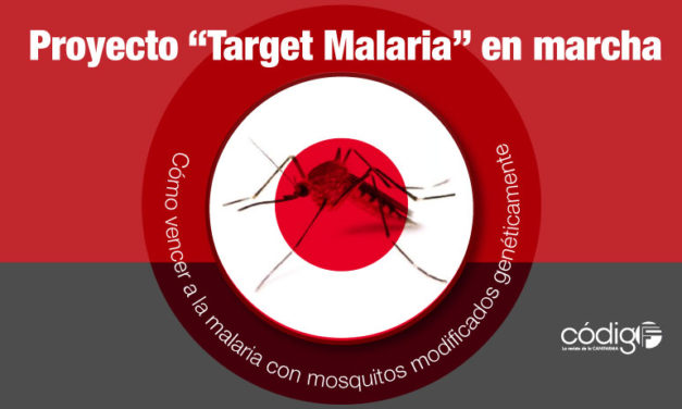 Cómo vencer a la malaria con mosquitos modificados genéticamente. Proyecto «Target Malaria” en marcha.