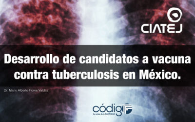 Desarrollo de candidatos a vacuna contra tuberculosis en México.