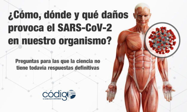 ¿Cómo, dónde y qué daños provoca el SARS-CoV-2 en nuestro organismo? | Preguntas para las que la ciencia no tiene todavía respuestas definitivas.