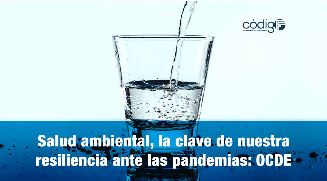 Salud ambiental, la clave de nuestra resiliencia ante las pandemias: OCDE.
