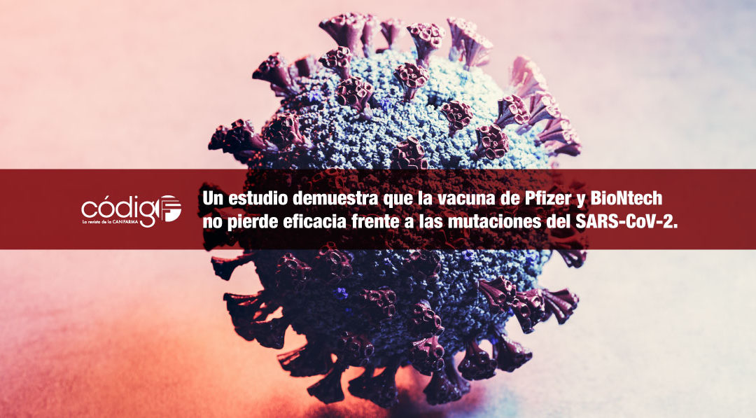 Un estudio demuestra que la vacuna de Pfizer y BioNtech no pierde eficacia frente a las mutaciones del SARS-CoV-2 encontradas en el Reino Unido y Sudáfrica.