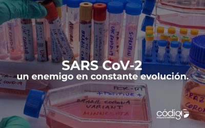 El SARS CoV-2, un enemigo en constante evolución.
